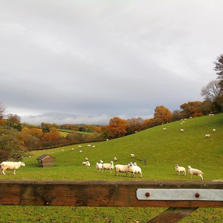 Ferienwohnung Gwilym'S Stable Builth Wells Exterior foto