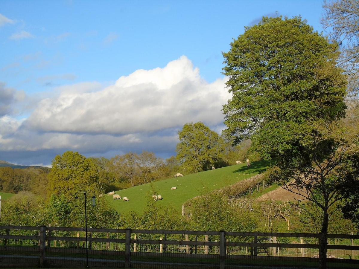 Ferienwohnung Gwilym'S Stable Builth Wells Exterior foto