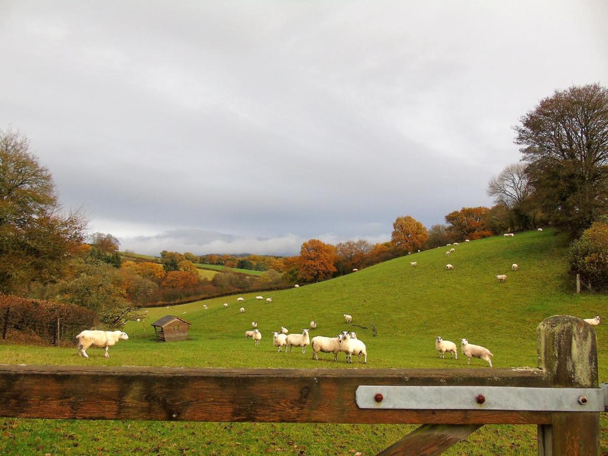 Ferienwohnung Gwilym'S Stable Builth Wells Exterior foto